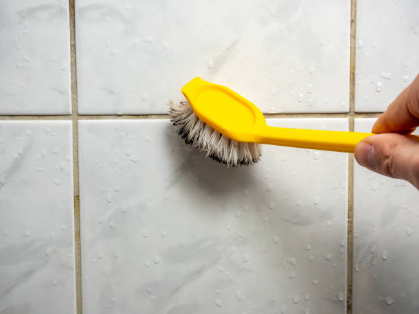 Best Mold Removal Near Me  in Washoe Valley, NV