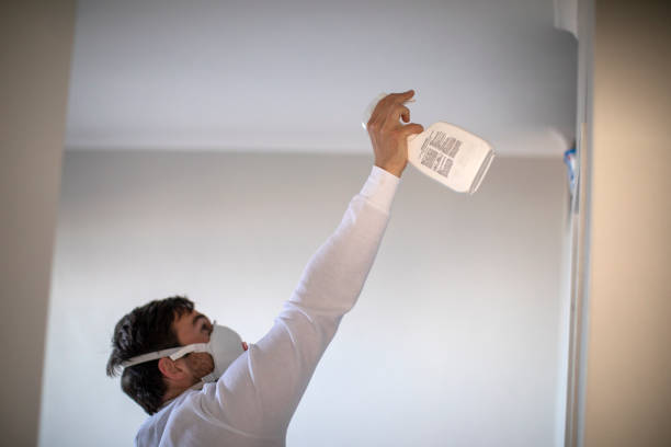 Best Mold Removal Process  in Washoe Valley, NV