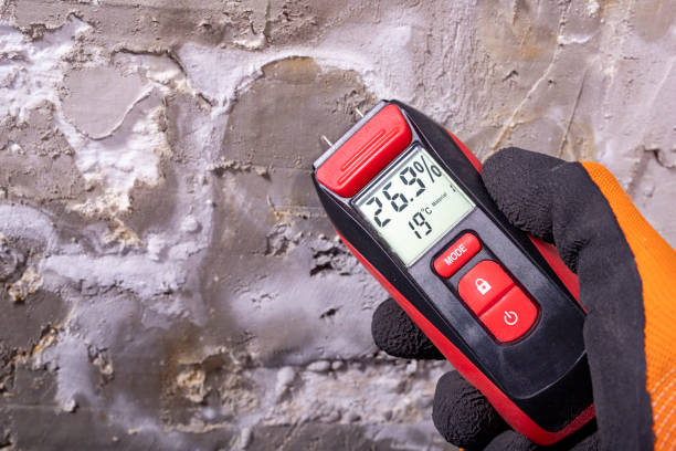 Best Mold Removal Specialists  in Washoe Valley, NV