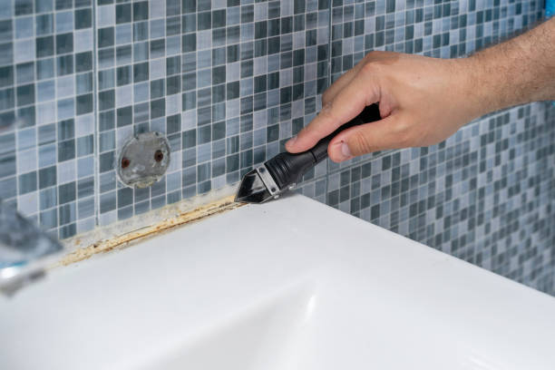 Best Black Mold Removal  in Washoe Valley, NV